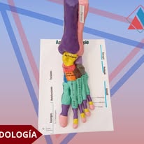 Práctica de Podología